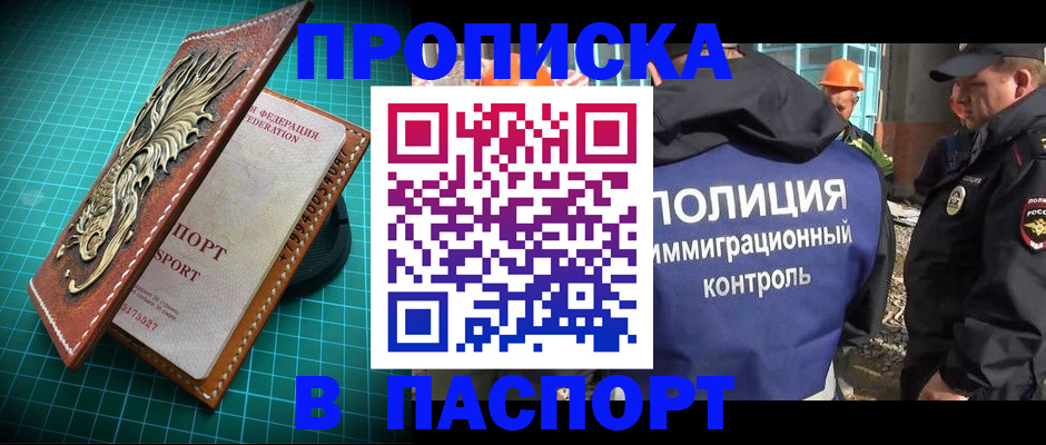 где прописаться в Сольцах